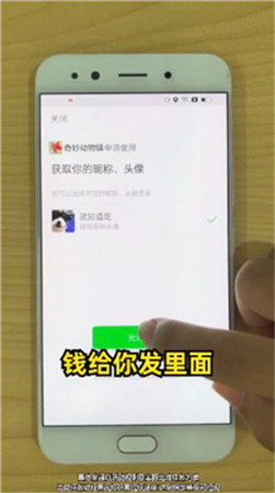 奇妙动物镇