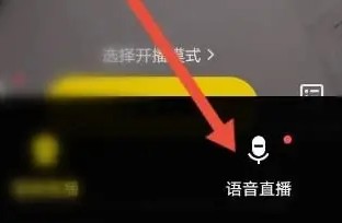 yy秀场