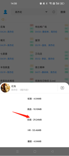 歌词适配纯净版