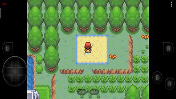 口袋妖怪新世界传奇彼岸花绽放之夜最新版图1