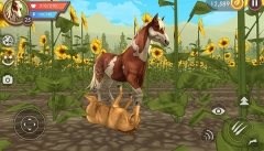 WildCraft正版图2