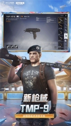 和平精英云游戏正版图3