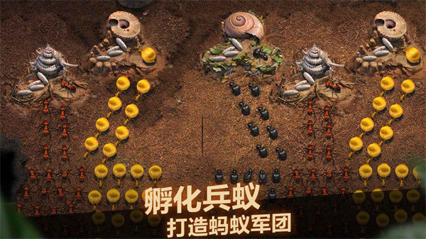 小小蚁国九游版