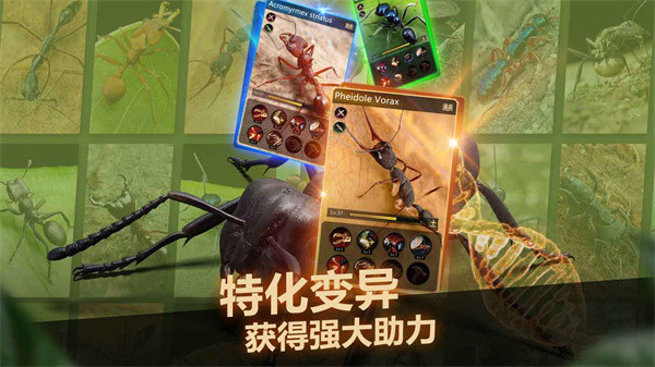 小小蚁国九游版