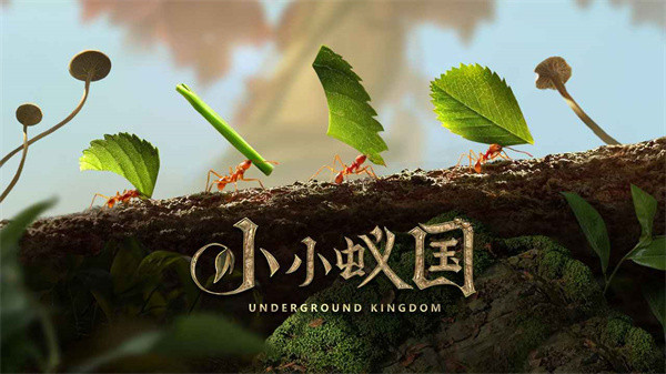 小小蚁国九游版