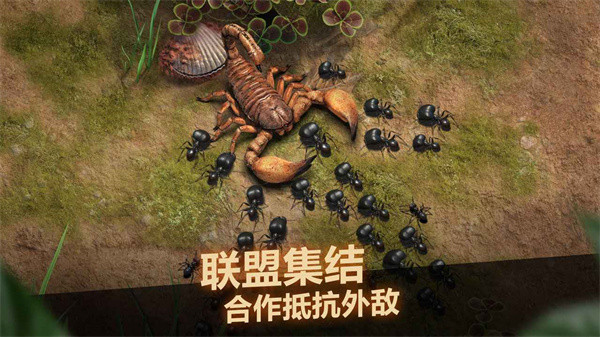 小小蚁国九游版