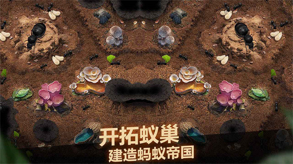 小小蚁国九游版