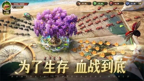 小小蚁国正版图2