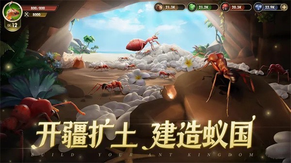 小小蚁国正版图5