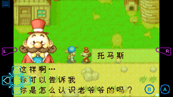 牧场物语矿石镇的伙伴们男孩版