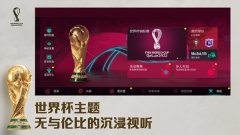 fifa足球世界先锋服