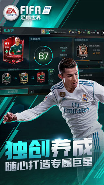 fifa足球世界国际服