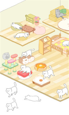 猫咪很可爱图2
