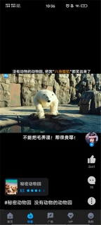 多多视频图5