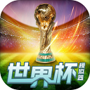 世界杯模拟器(wordcup)