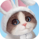 我和我的猫游戏