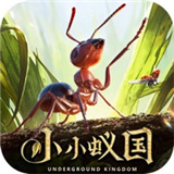 小小蚁国正版