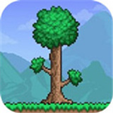5playru泰拉瑞亚1.4.