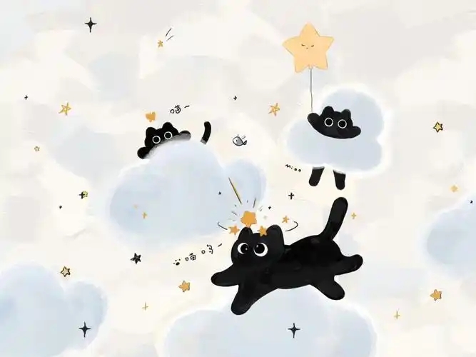 黑猫动漫