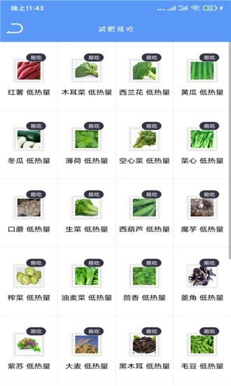 FitPro