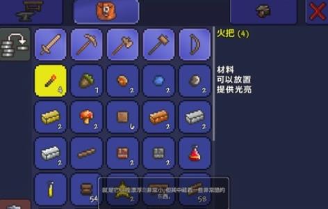 泰拉瑞亚灾厄汉化版
