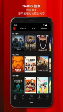 奈飞图1