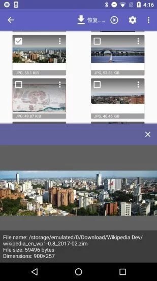 DiskDiggerPro图1