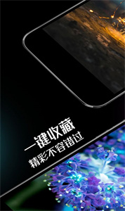 壁纸屋图3