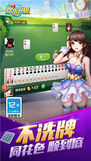 欢乐升级两副牌手机版