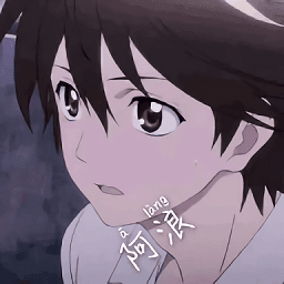 HZZSPRO画质助手
