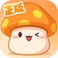 冒险岛枫之传说国际服 v1.93.4296 安卓版