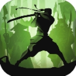 暗影格斗2满级全武器版