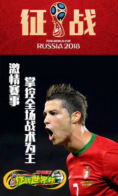 征战世界杯图2