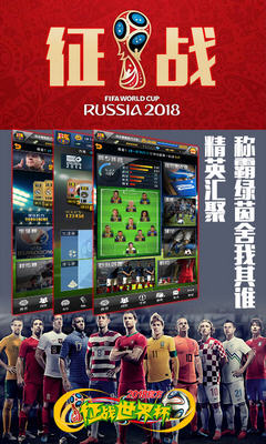 征战世界杯图5