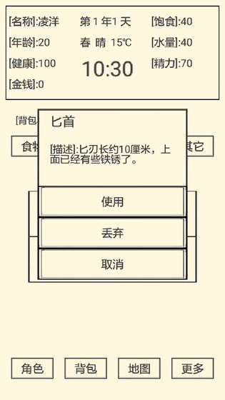 流浪人生2：命运