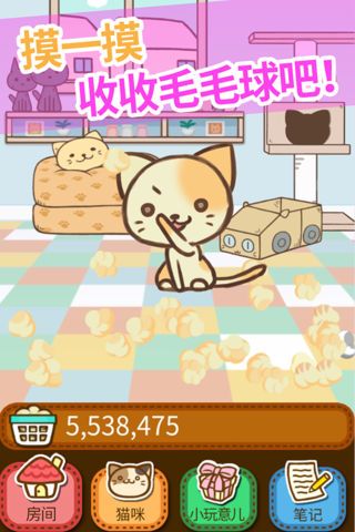 小猫我们能赢图1