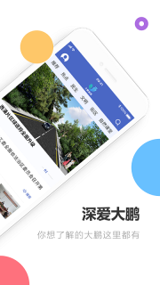 深爱大鹏图4