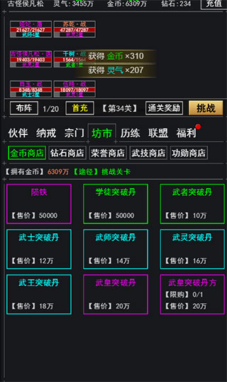 武道神尊满v版