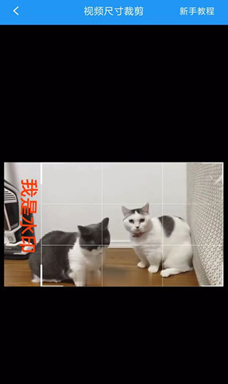 去水印吧免费版