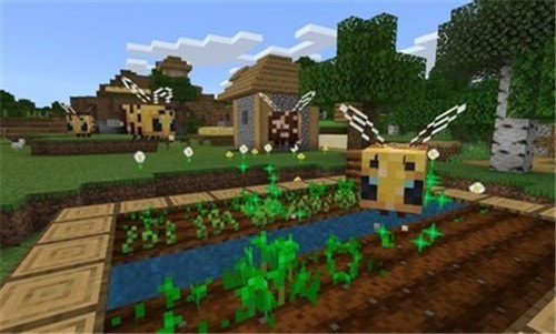 我的世界国际服1.18.