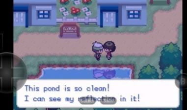 口袋妖怪赛义夫图3