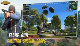 PUBG龙王图2