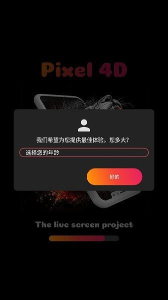 Pixel 4D图4