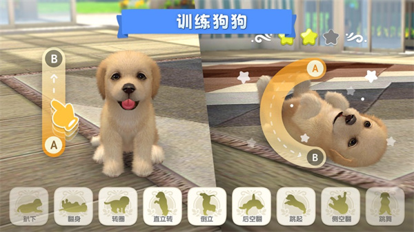 梦幻小狗最新版图5