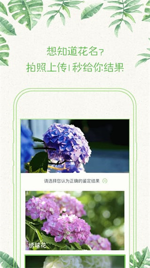 形色植物识别最新版图2