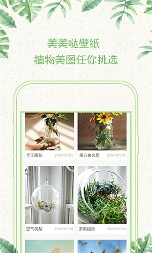 形色植物识别最新版图3