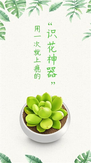 形色植物识别最新版图4