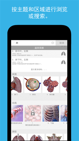 人体解剖学图谱2025最新 v2025.04.011 安卓版图4