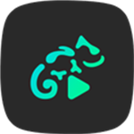 Stellio Player v6.7.2 安卓版