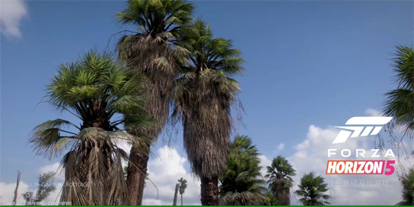 极限竞速地平线5快乐整活版图2